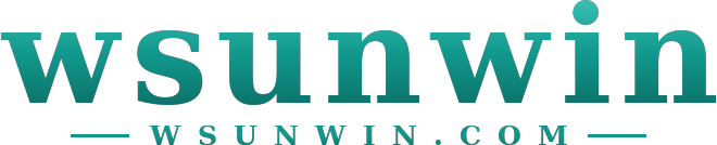 wsunwin logo